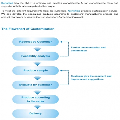 Customization Service